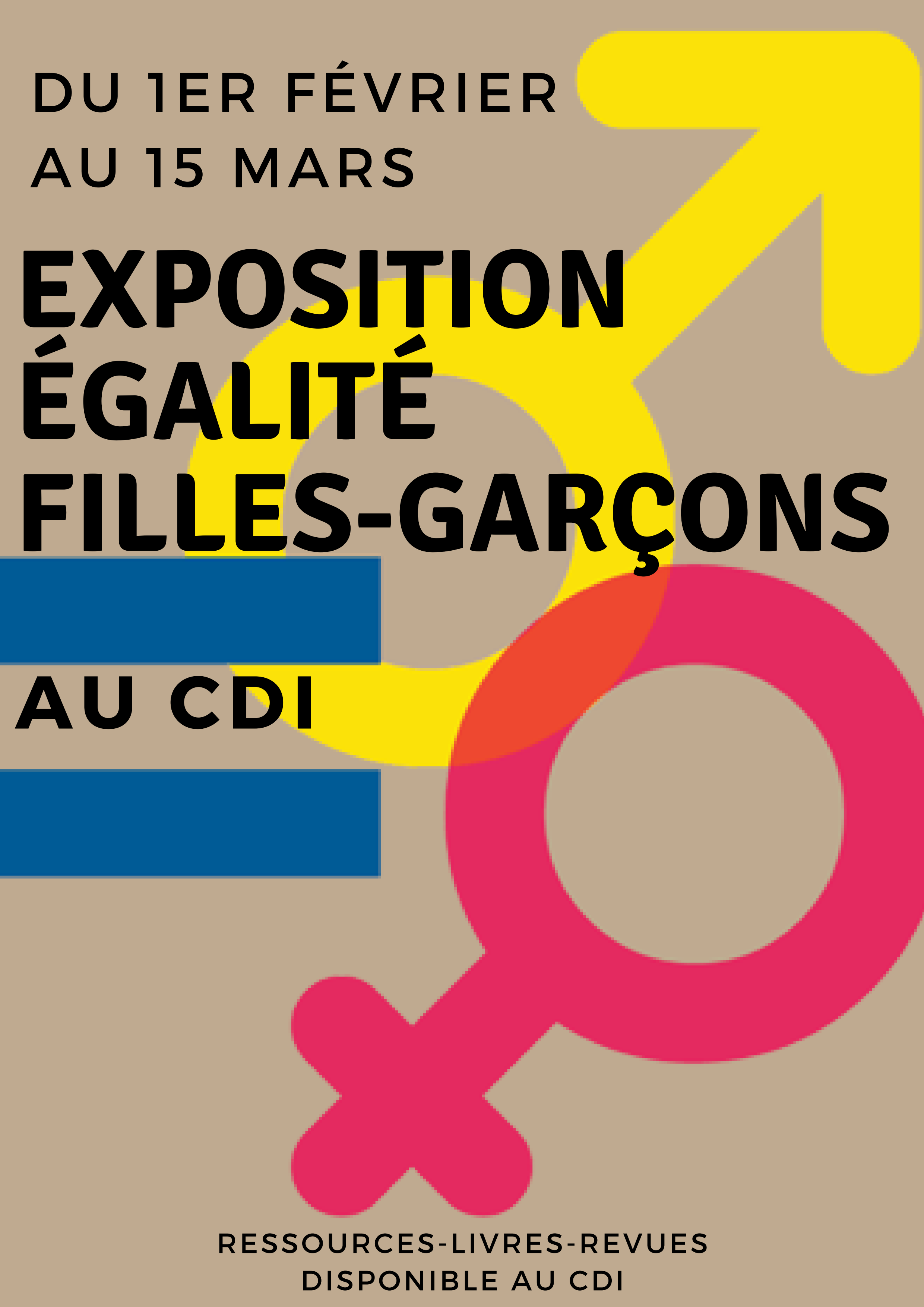 Affiche égalité Fille Garçon 714943 Affiche égalité Filles Garçons Jpdiamukpict4kfm 