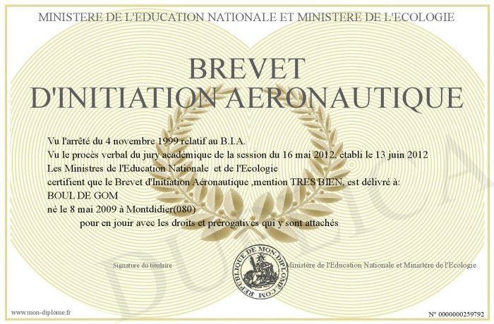 Brevet d’Initiation Aéronautique (BIA)