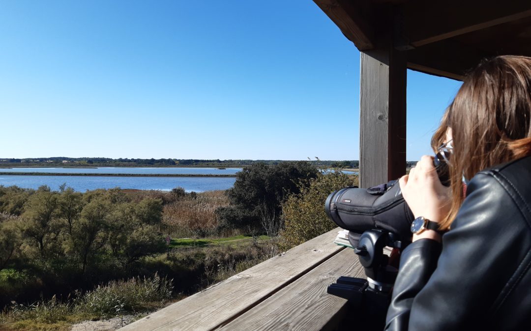 Visite de l’observatoire des oiseaux avec l’ADEV, dans le cadre des ErasmusDays